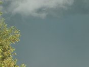 P6150001.JPG