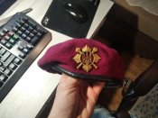 Берет ЗСУ президентский полк