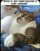 зображення_viber_2021-06-07_22-10-52.jpg