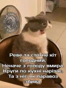 зображення_viber_2021-06-08_06-33-53.jpg