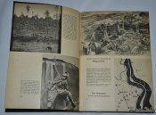 Книга Die Wehrmacht 1940