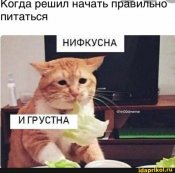 зображення_viber_2021-06-11_11-51-36.jpg