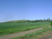 DSC06567.JPG