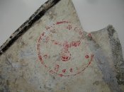 DSC04799.JPG