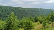 IMG_20210620_091414.jpg