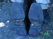IMG_5147.jpg