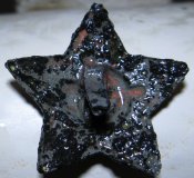 IMG_1564.JPG