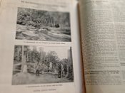 Германский географический ежегодник. 1913 г.
