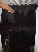 IMG_20210623_071218.jpg
