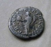 LuciyVerLimes-003.JPG