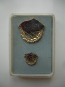 DSC04823.JPG