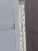 IMG_20210624_154635_1.jpg