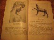 Подводная археология