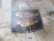 IMG_7959.JPG