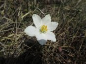 IMG_8252.JPG