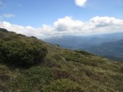 IMG_8254.JPG