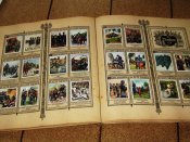 IMG_5460.jpg