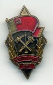 img313.jpg