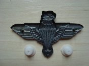 DSC08100.JPG