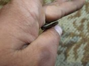 IMG_20210628_083631_1.jpg