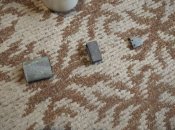 IMG_20210628_083613.jpg