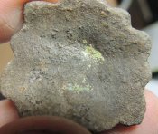 DSCN0757_.jpg