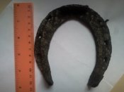 SNC00827.jpg