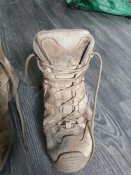 Тактические ботинки Lowa Zephyr Mid GTX 43