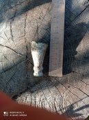 IMG_20210702_190430.jpg