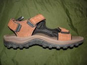 DSC08313.JPG