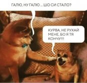 зображення_viber_2021-07-06_15-55-07-932.jpg