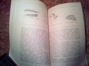 Раны и их личение в тибетской медицине