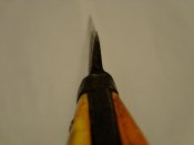 3884154.jpg