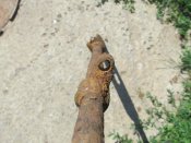 IMG_8238.JPG