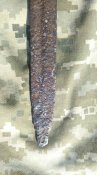 Блокадник