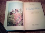 Охотничьи собаки