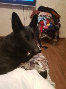 20181029_231413.jpg