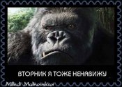 Прикольные-открытки-с-вторником_018.jpg