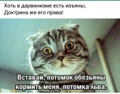 IMG_20210714_222711.jpg