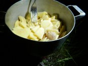 DSCN0284.JPG