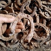 Підкови з позицій ПСВ. 93 шт.