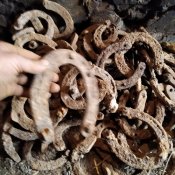 Підкови з позицій ПСВ. 93 шт.
