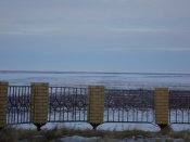 DSC09075.JPG