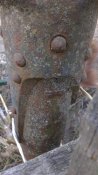 IMAG0268_433x768.jpg