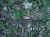 DSC07601.JPG