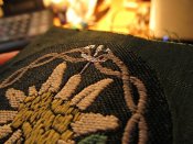 IMG_3126.JPG