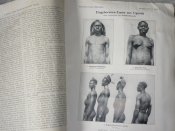 Германский географический ежегодник. 1913 г.