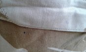 20210721_185246.jpg