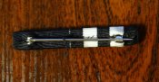 DSC00491.JPG