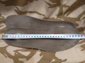 IMG_20210727_200842.jpg